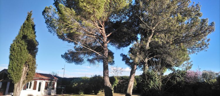 gîte Petit Mas aux Coquilloux à Montpellier