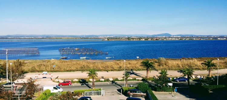 Vue sur Montpellier et l'arrière pays des Terrasses du Front de Mer location de vacances à la semaine ou au mois sur la plage de Palavas